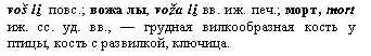 кость с развилкой